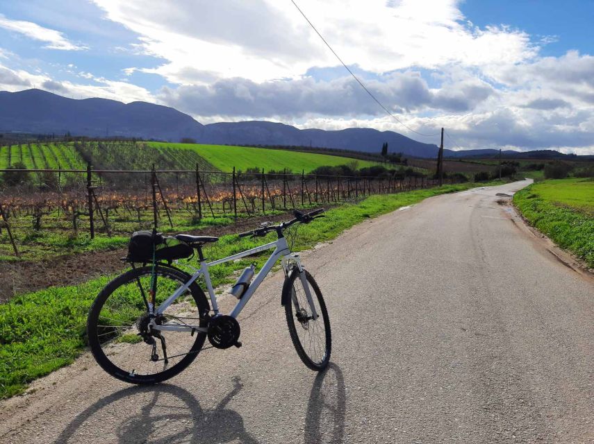 Nemea, Corinth: Bike & Wine Guided Day Tour From Athens - Requirements and Restrictions