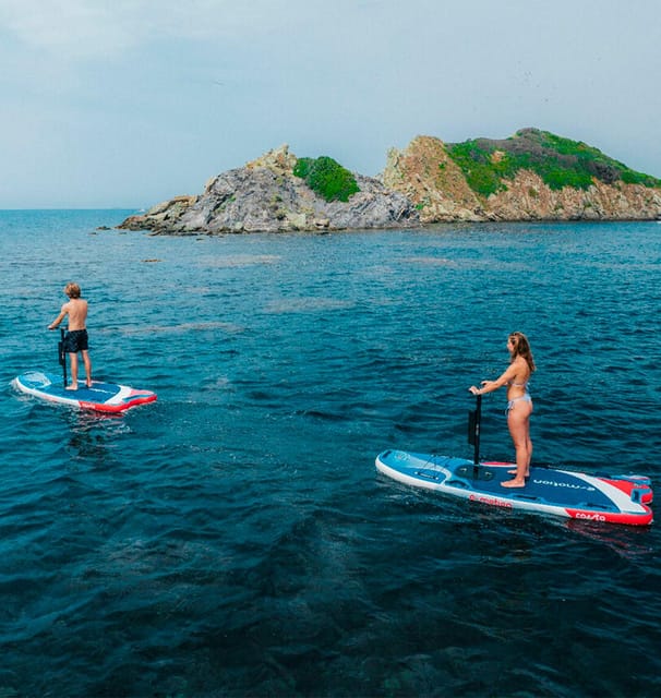 NEW ELECTRIC PADDLE SURF IN SANTA PONSA - Stable and Easy-to-Learn Equipment