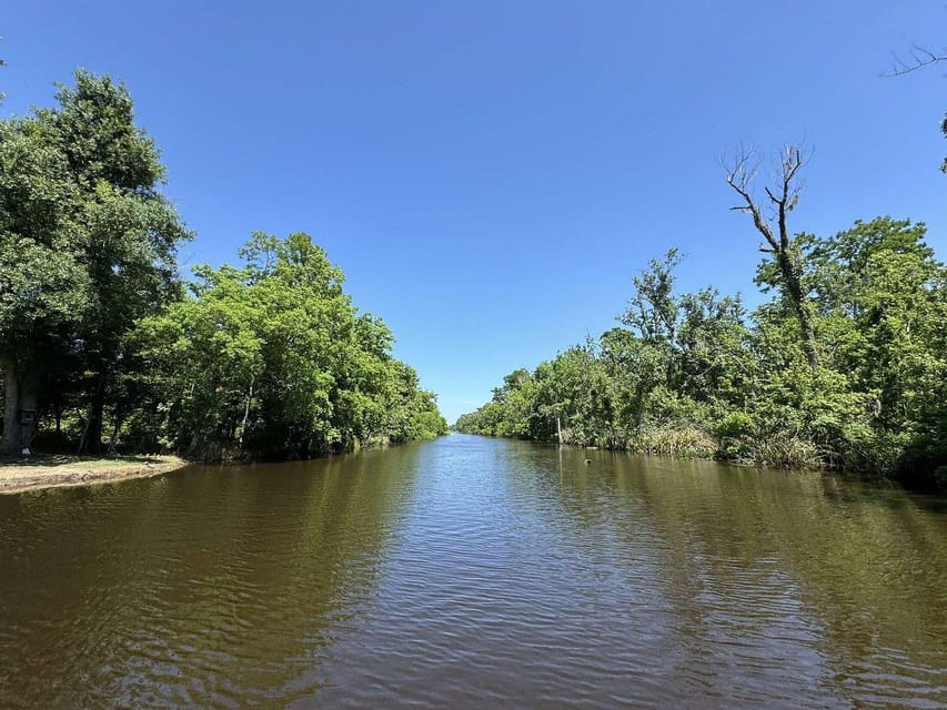 New Orleans: Oak Alley Plantation -N- Swamp Tour Full Day - What to Expect