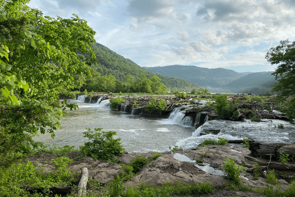 New River Gorge National Park: Ultimate Scenic Driving Tour - Natural Wonders and Wildlife