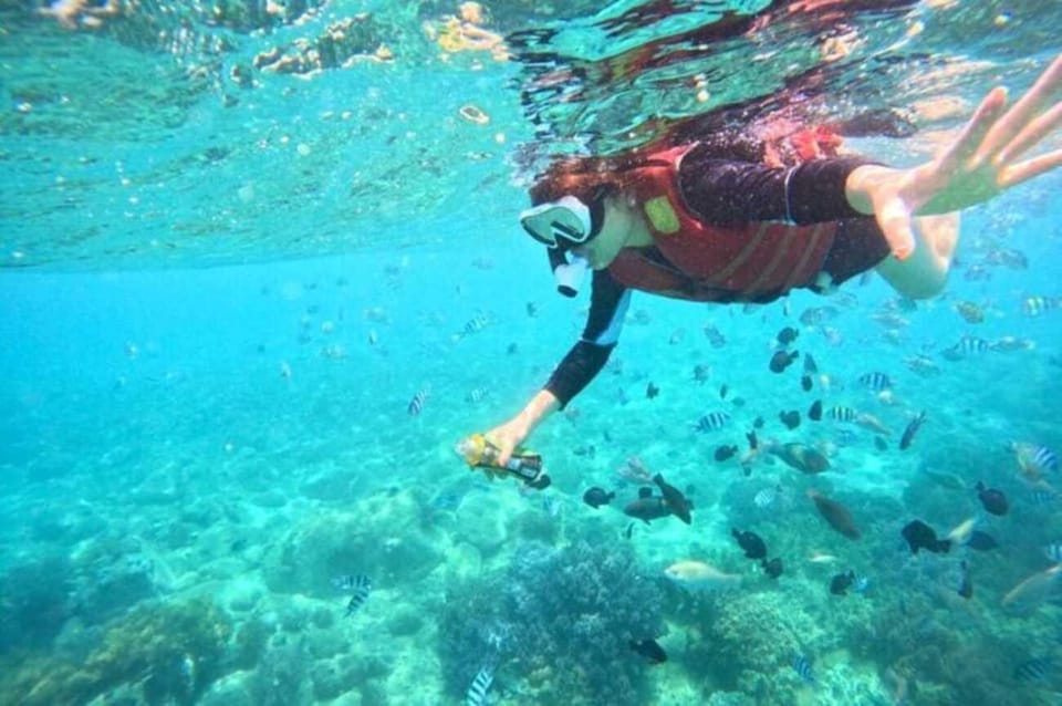 Nha Trang: Experience Snorkeling at Mun Island & Marine Park - Marine Park and Snorkeling Experience