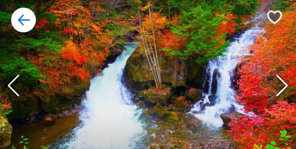 Nikko: Private Sightseeing Tour With UNESCO World Heritage - Important Notes