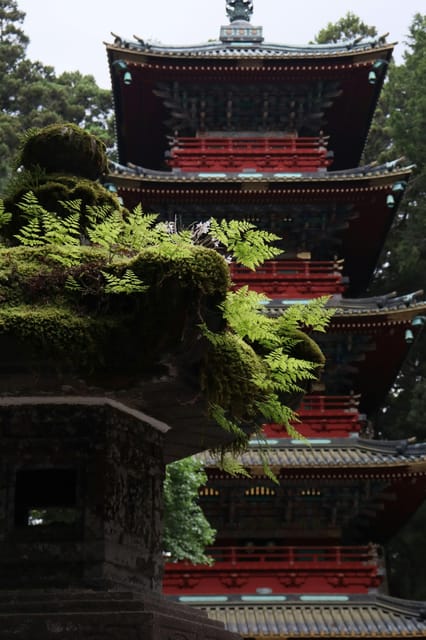 Nikko: Sightseeing Customized Private English Full Day Trip - Optional Activities