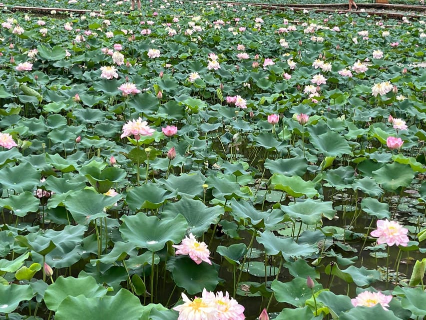 Ninh Binh Adventure: Hoa Lu, Tam Coc & Mua Cave in a Day - Boat Ride Through Tam Coc