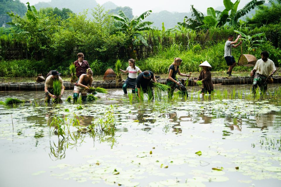 Ninh Binh Farm Trip: Experience the Authentic Rural Life - Scenic Attractions