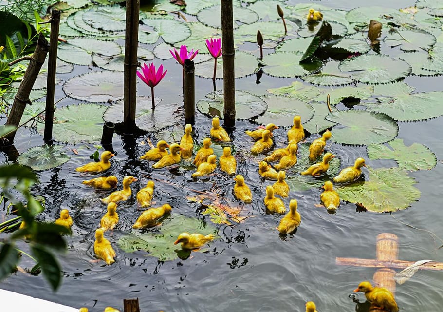 Ninh Binh: Rice Planting and Fishing by Basket Tour - Booking and Cancellation Policy