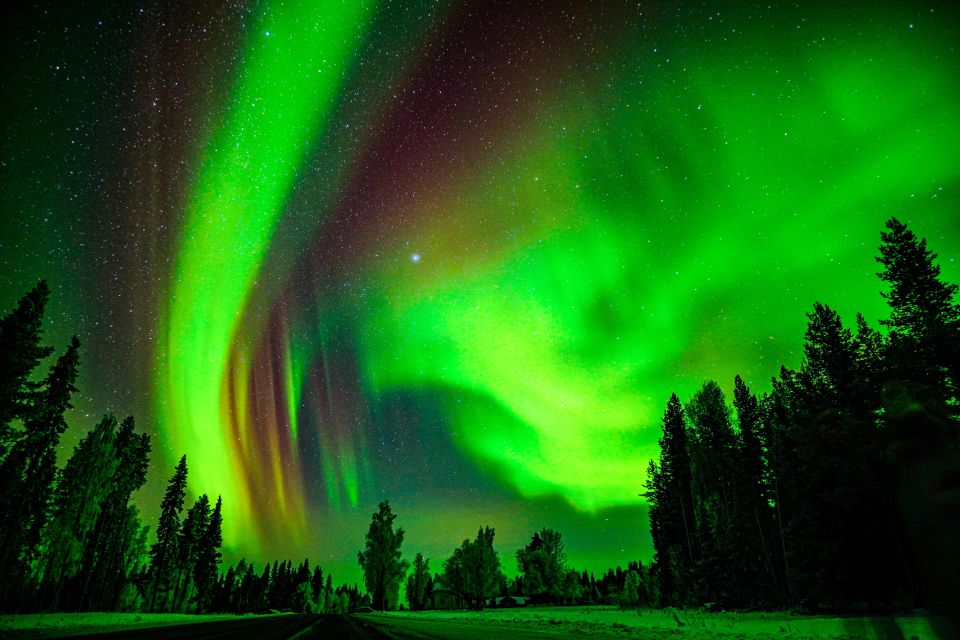 Northern Lights Hunting Adventure in Lapland - Environmental Impact and Sustainability