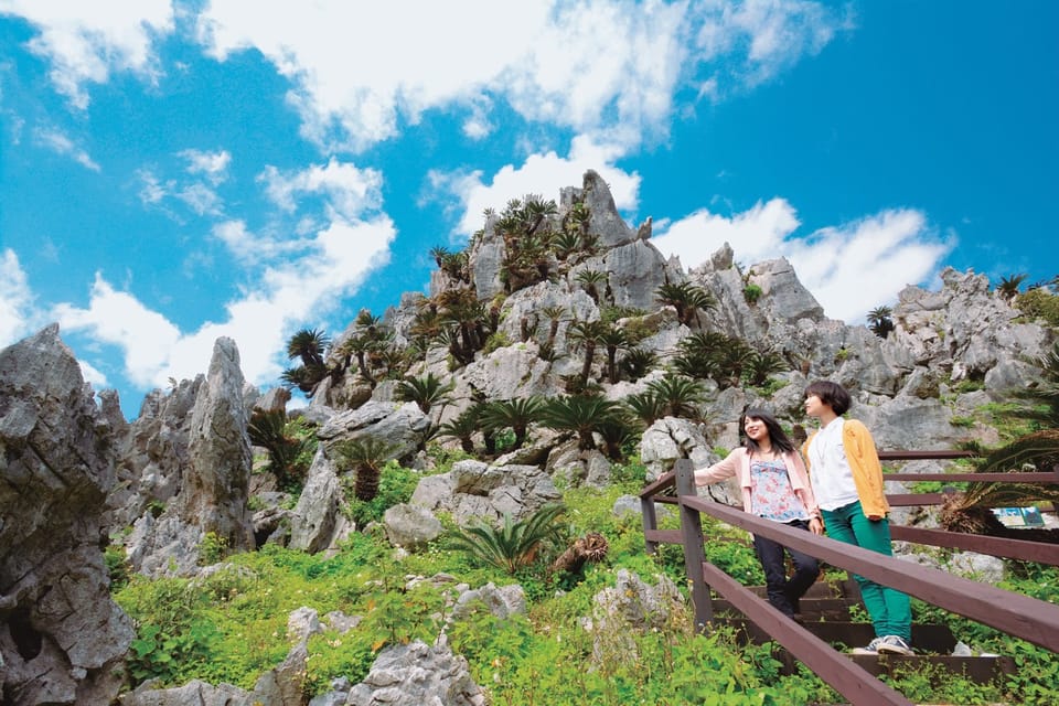 Northern Okinawa National Park Enjoyment Course【C-course】 - Booking and Cancellation Policy