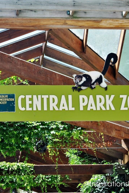 NYC: Central Park Zoo Entry Ticket & Manhattan Walking Tour - Customer Reviews Feedback