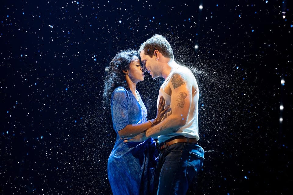 NYC: The Notebook on Broadway - Highlights of the Performance