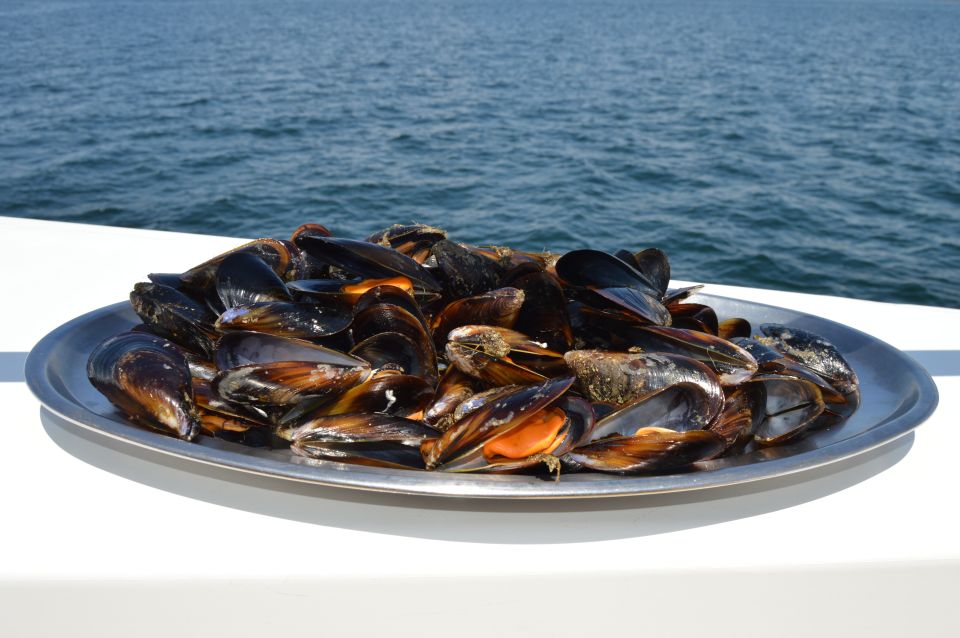 O Grove: Ría De Arousa Catamaran Tour With Seafood Lunch - What to Expect on the Tour