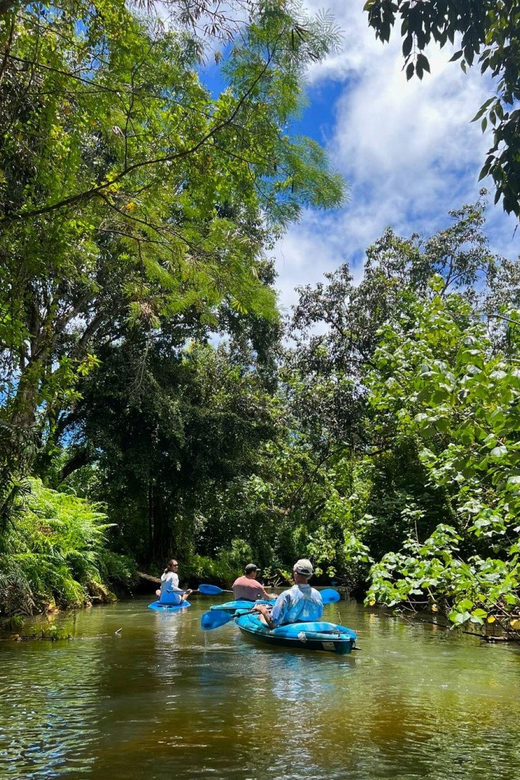 Oahu: Single & Double Kayak 3-Hour River Rental - Frequently Asked Questions