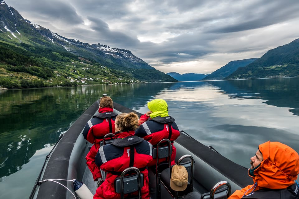 Odda: RIB Boat Tour on the Hardangerfjord - Wildlife Spotting