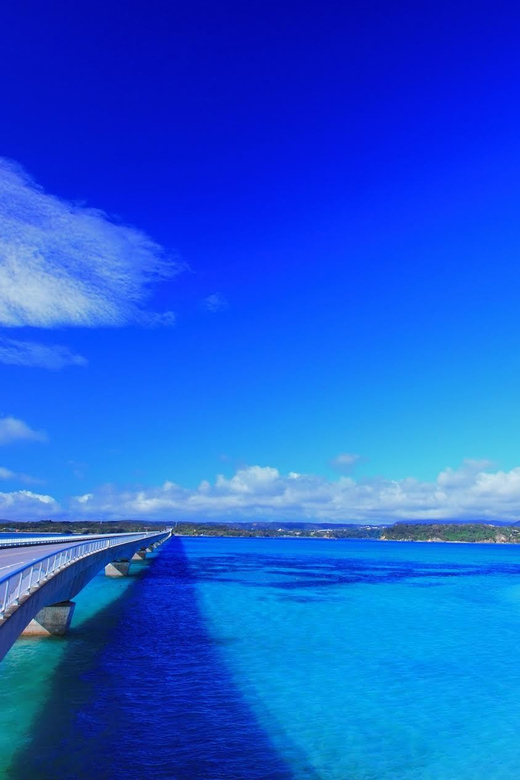 Okinawa: Bus Tour to Churaumi Aquarium With Sightseeing - Tips for a Great Experience