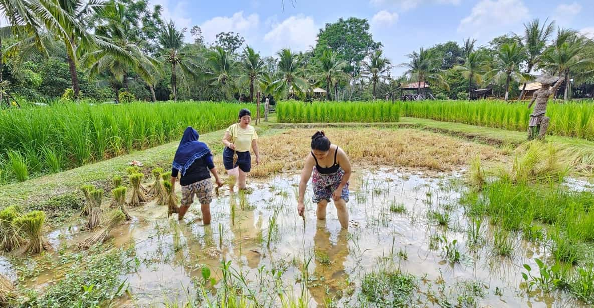 Old Phuket Farm Ticket - Countryside Local Life Culture - Hands-on Cultural Activities