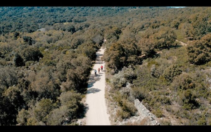 Old Railway: Premium E-Bike Tour Through an Enchanted Forest - Culinary Delights