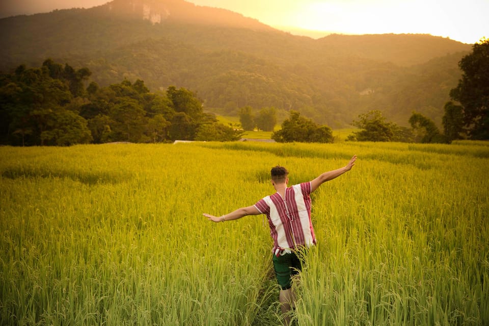 One Day Tour Doi Inthanon National Park With Guide,Lunch,Fee - Group Size