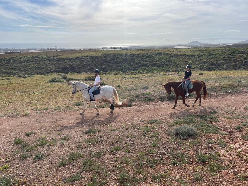 One Hour Horse Riding Tour in Gran Canaria - Meeting Point and Transportation