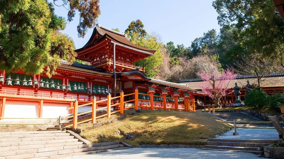 Osaka: Nara & Uji Day Tour: Deer Park, Matcha & Hot Springs - Important Tour Information