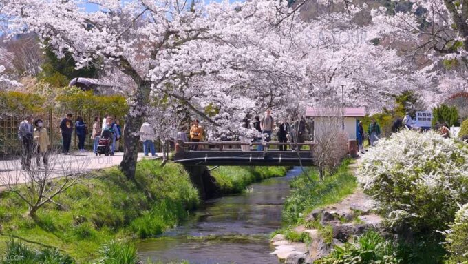 Oshino Hakkai, Ole Hot Spring in Mount Fuji One Day Tour - Booking Details