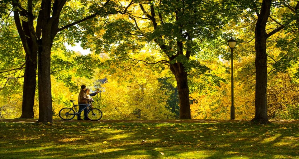 Oslo: Oslo in a Nutshell Guided Bike Tour - Safety and Comfort Measures