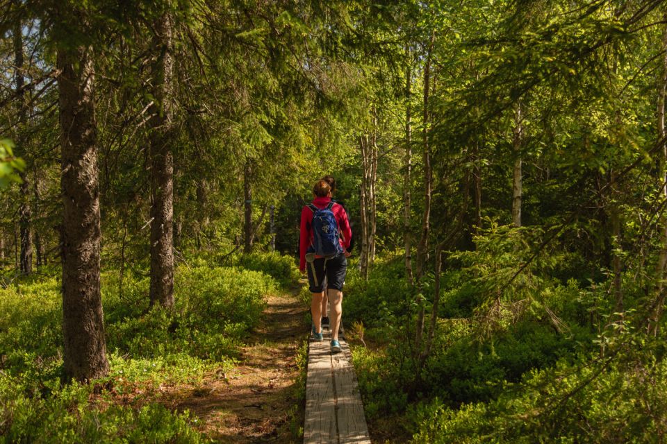 Oslo: Skjennungstoppen Wildlife Forest Hiking Tour - Frequently Asked Questions