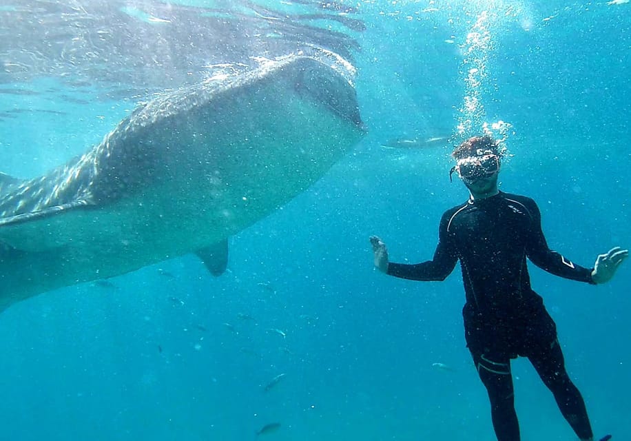 Oslob & Badian: Whaleshark Watching & Kawasan Canyoneering - Inclusions and Add-Ons