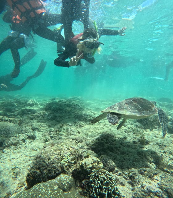 Oslob & Sumillon Island Cebu - Tour Schedule Verification