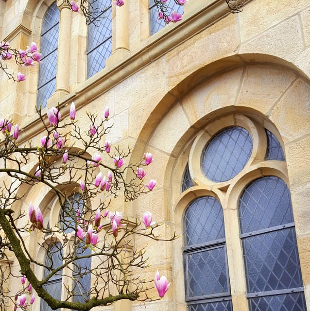 Osnabrück: Town Hall and Old Town Tour (City Tour) - Discovering the Old Town