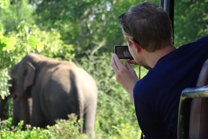 Overnight Private Leopard Safari With Luxury Tented Camping - Tips for Your Safari