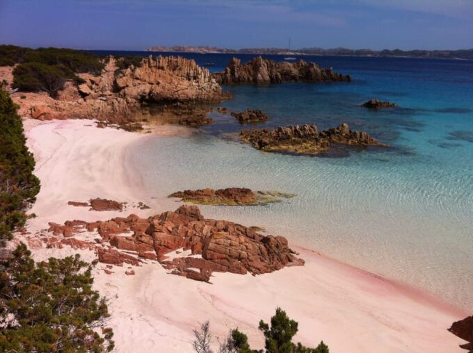 Palau: La Maddalena Sailing Tour With Lunch and Open Bar - Customer Reviews and Experiences