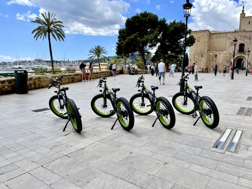 Palma: Guided City Tour With a Fat Tire E-Bike - Riding Along the Beach Promenade