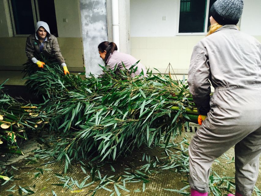 Panda Volunteer Project Day Trip(Wolong/Du Jiang Yan) - Frequently Asked Questions