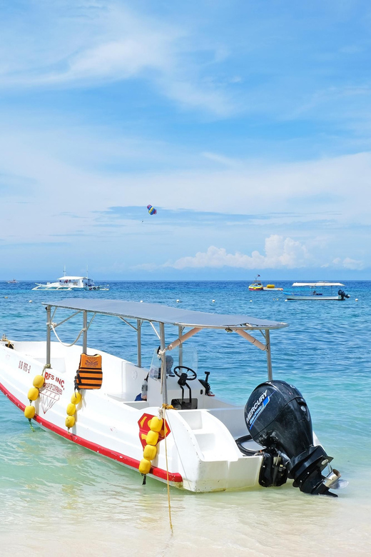 Panglao: Solo or Tandem Parasailing Experience Near Alona - Scenic Coastline Views