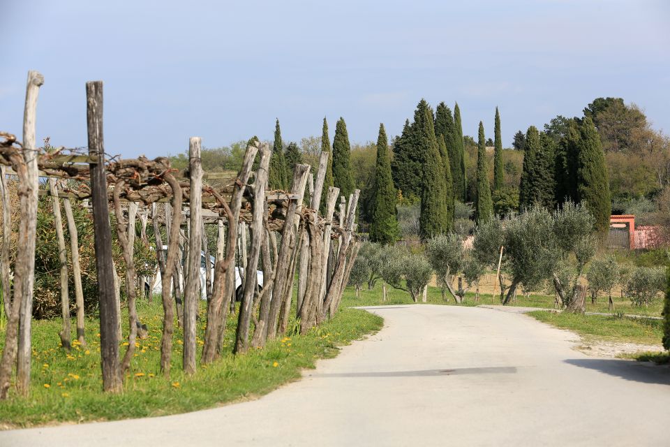 Panoramic Piran and Salt Pans: E-Bike Boutique Tour - Optional Activities Available