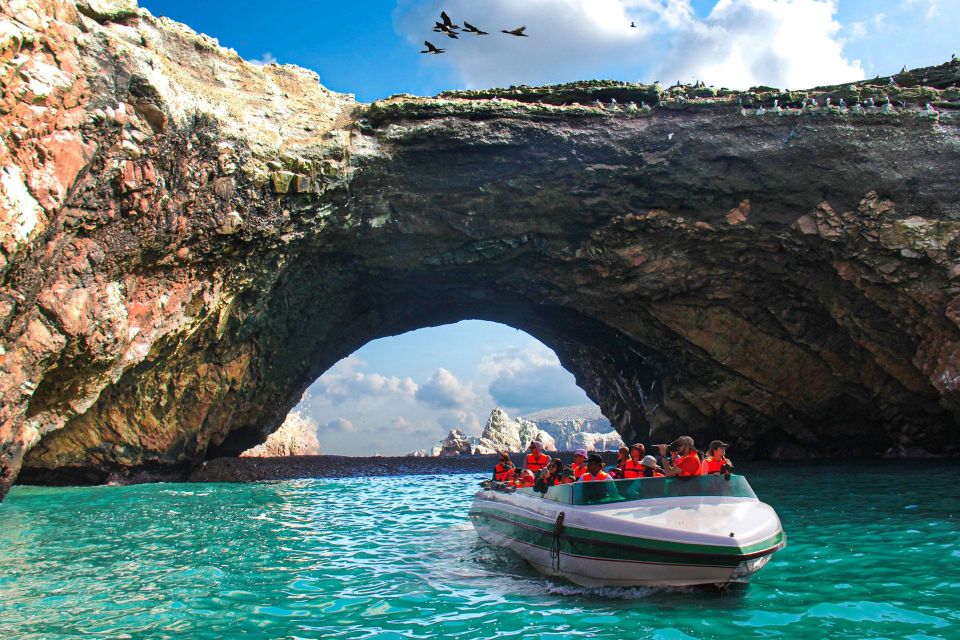 Paracas: Observation of Marine Fauna in Ballestas Islands - Booking Your Adventure