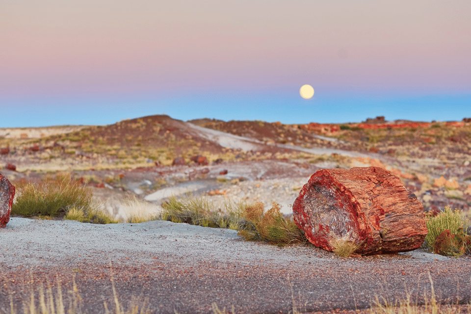 Petrified Forest National Park: Scenic Driving Tour - Jasper and Crystal Forests