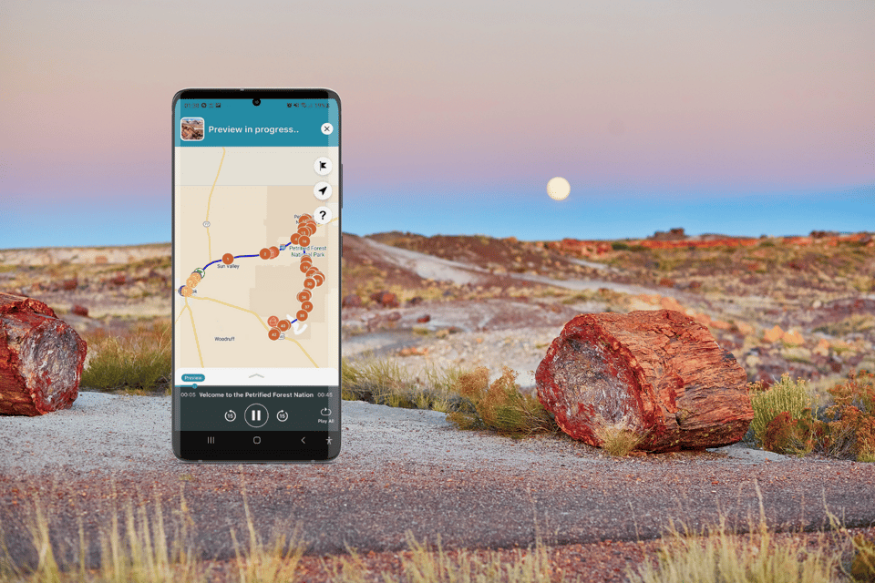 Petrified Forest National Park: Self-Guided GPS Audio Tour - Customer Reviews and Feedback