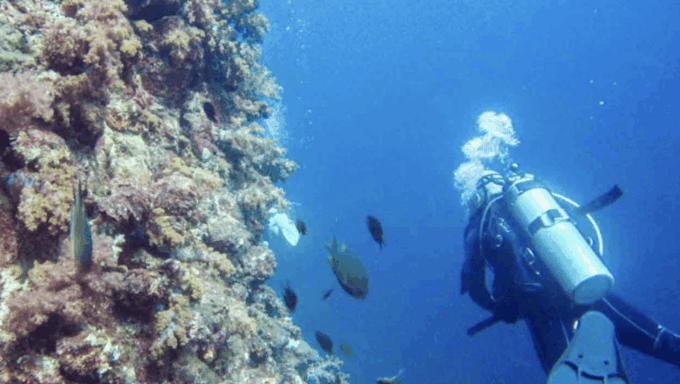Phi Phi: Scuba Diving With Portuguese Speaking Instructor - What to Expect on the Dive