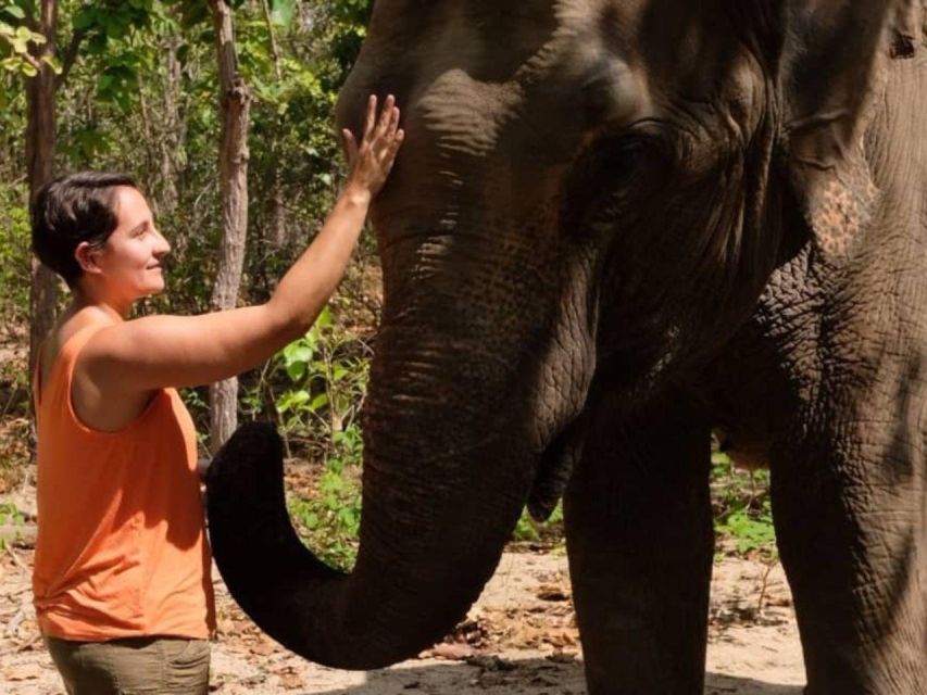 Phnom Tamao Wildlife Center & Buddha Kiri Cambodia Day Tour - Tips for Travelers