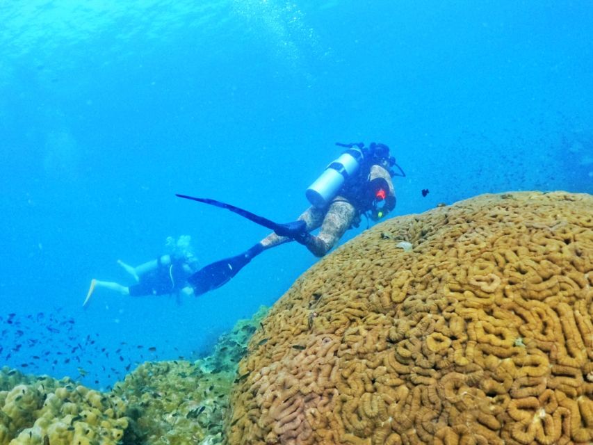 Phu Quoc: Scuba Diving Experience for All Levels - Booking Process