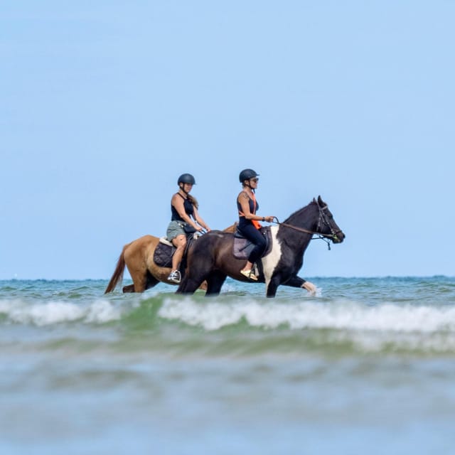 Phuket Beach Horseback Adventure - Booking Information