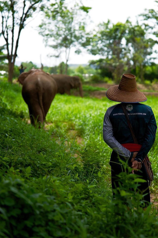 Phuket: Elephant Nature Reserve Entry Ticket and Guided Tour - Ethical Practices