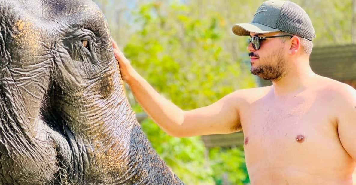 Phuket: Feeding Elephants at Phuket Elephant Care - Booking and Cancellation