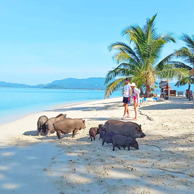 PIG ISLAND VIP SNORKELING LONGTAIL BOAT KOH MUDSUM & KOH TAN - Frequently Asked Questions