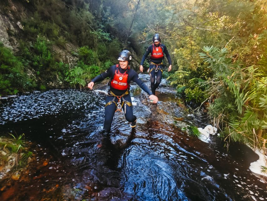 Plettenberg Bay: Canyoning Trip - Canyon Exploration and Zip-lining