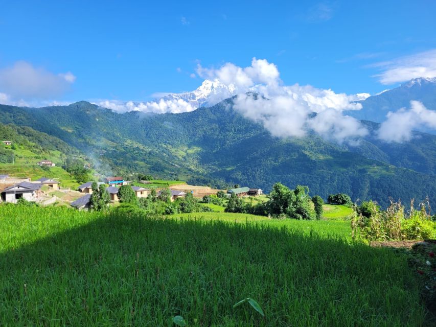 Pokhara: Day Hike to Australian Camp and Dhampus Village - Important Information