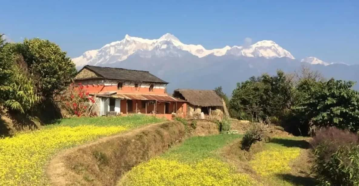 Pokhara : Easy Dhampus & Astam Village Day Hike - Transportation Details