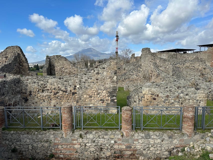 Pompeii From Sorrento: Transfer + Entry Ticket + Guided Tour - Customer Feedback and Reviews