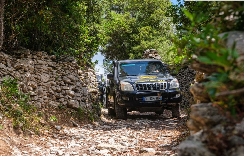 Porto Vecchio: Cuscionu Plateau & Alta Rocca 4x4 Tour - Customer Reviews